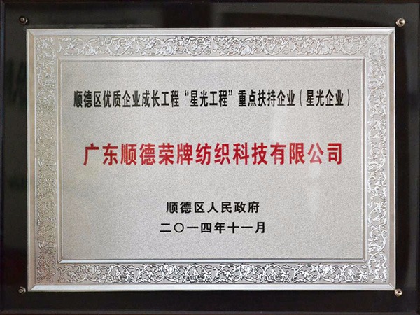 巅峰国际-2012年获顺德政府颁发“星光企业”称号