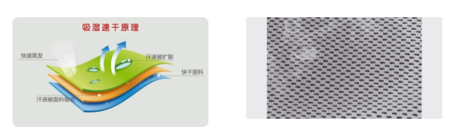 巅峰国际医用纺织