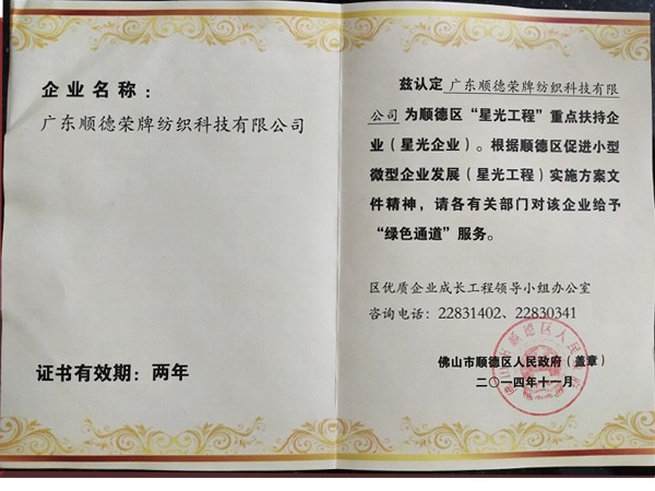 巅峰国际荣获政府重点扶持企业